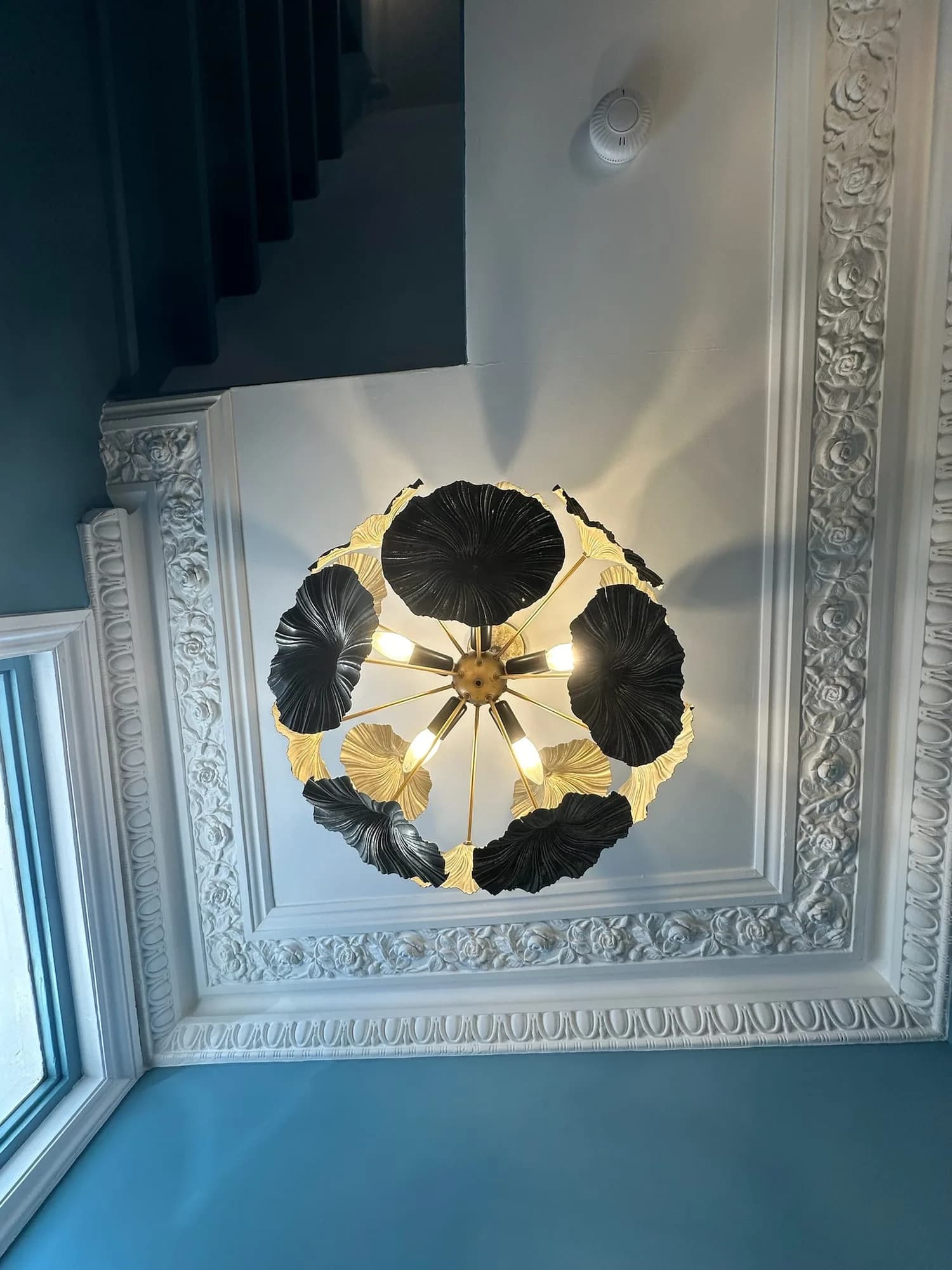 Earls Court I: restored ceiling rose with a black and brass floral pendant