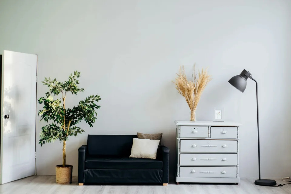 Newly finished room with a dark sofa, a potted tree, a chest of drawers and a floor lamp